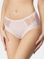 327L Eurobra Briefs With Embroidery